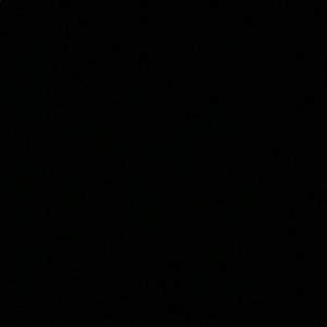 Meet your Posher, Ty-ree